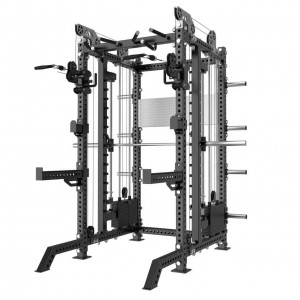 Multi Functional Trainer